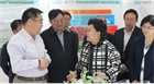 市委副書記、代市長艾麗華來我公司考察、調(diào)研